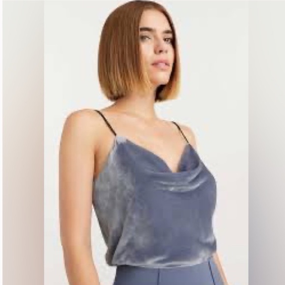 cinq a sept Tops - Cinq a Sept Marta Velvet Camisole Sz S